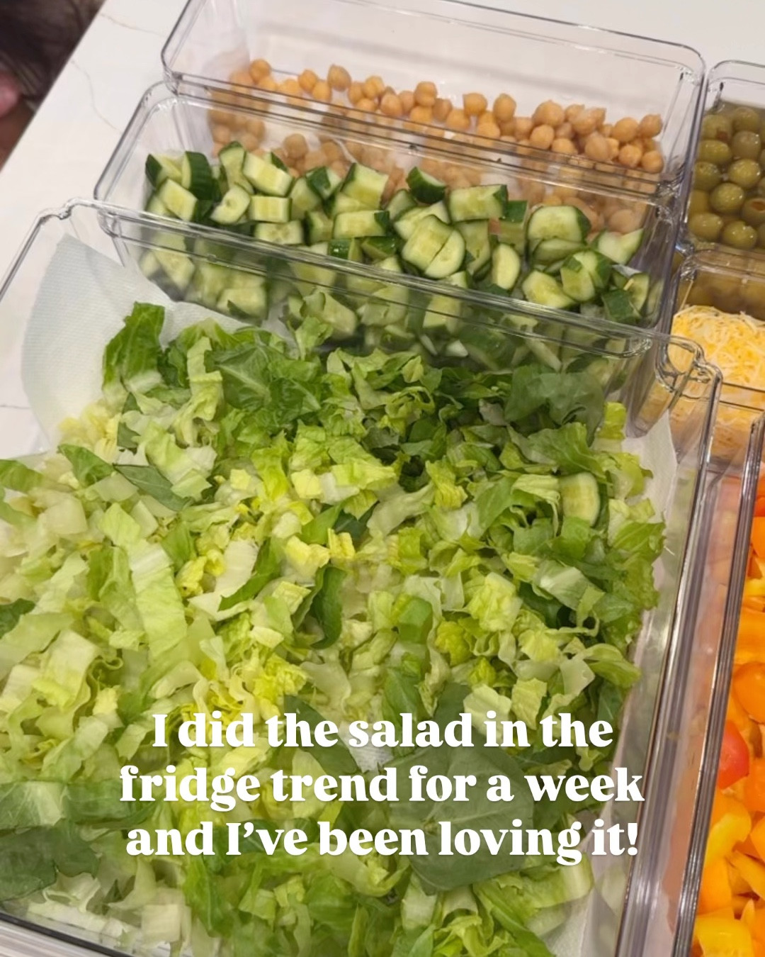 I saw the trend where people put a salad bar in the fridge… we have been doing this for a week and when I tell you we’ve eaten SOOO much healthier. Even my husband is eating a salad a day!!! Obsessed!!!

#healthy 
#salad
#fridge
#strorage 