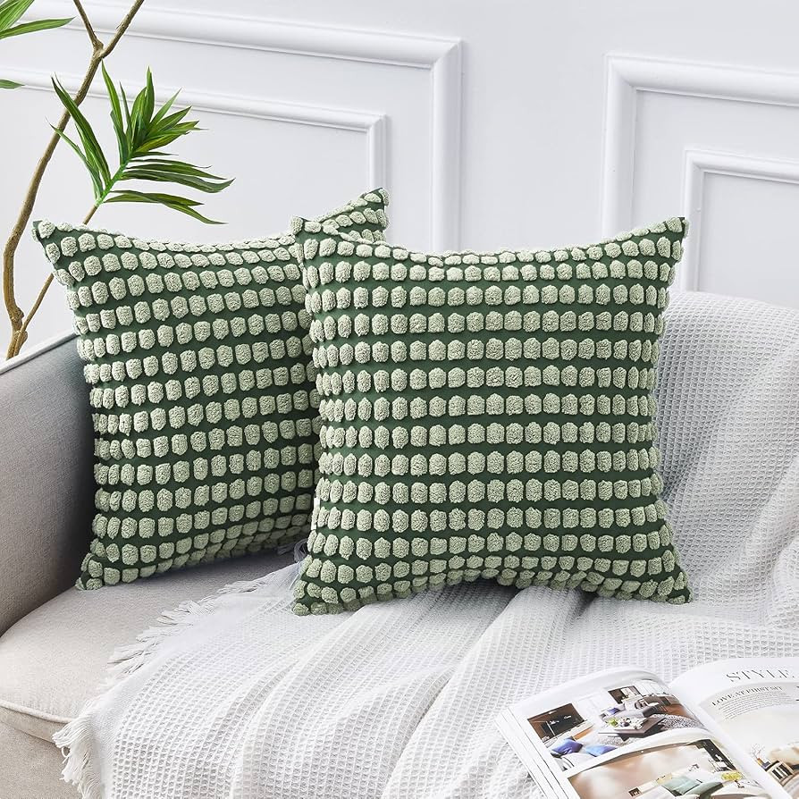 FY FIBER HOUSE Pack of 2 Decorative Throw Pillow Cover Corduroy Cushion Covers Solid Square Cushi... | Amazon (US)