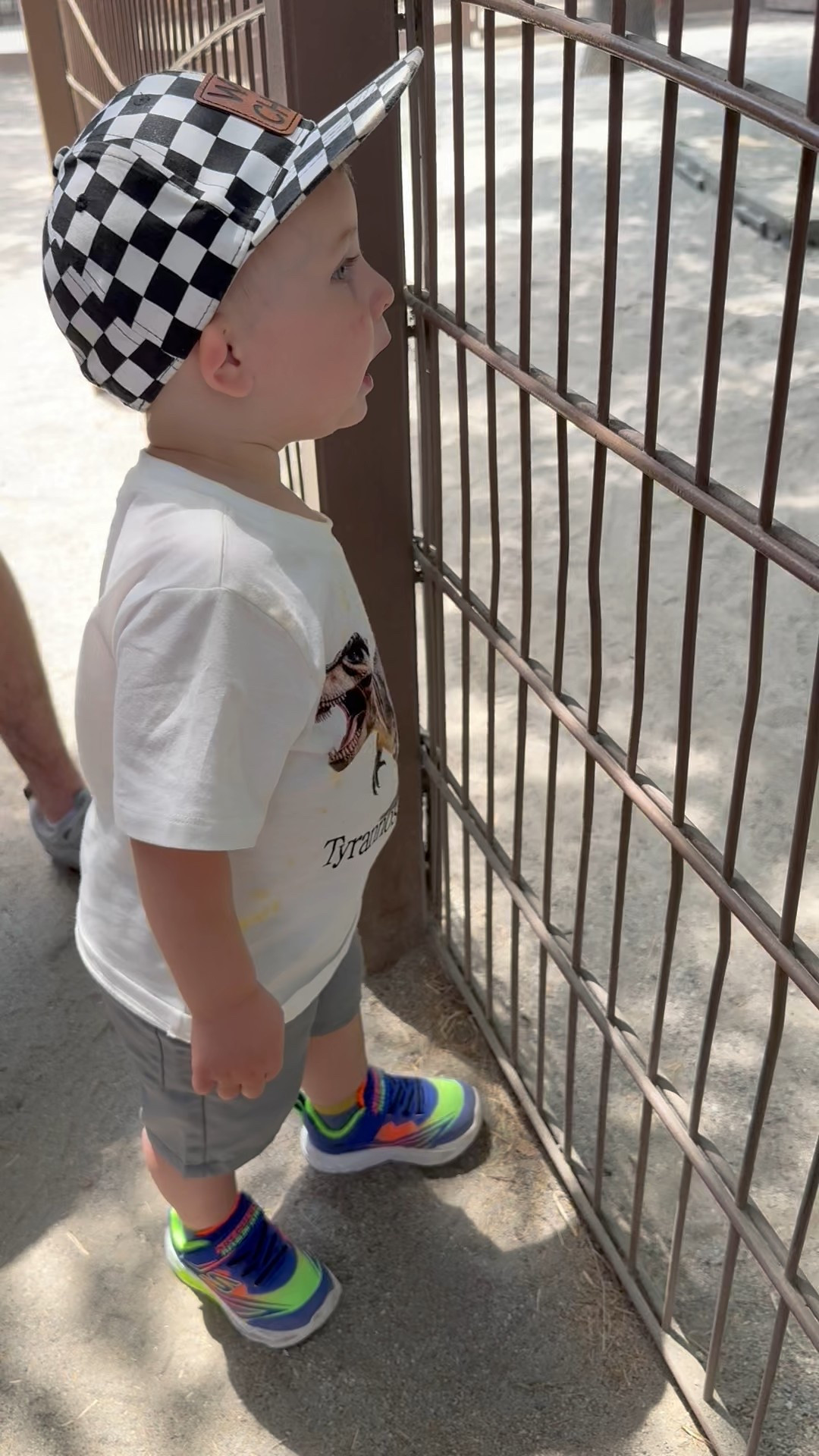 Boys Disney animal kingdom outfit of the day for a toddler boy.


#LTKKids #LTKFamily #LTKTravel