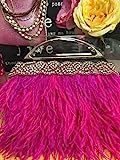 Fabulous Fushia Ostrich Feather Bag | Amazon (US)