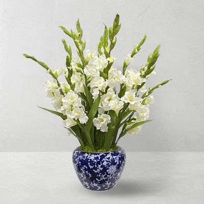 31" Faux Gladiolus in Vase | Williams-Sonoma