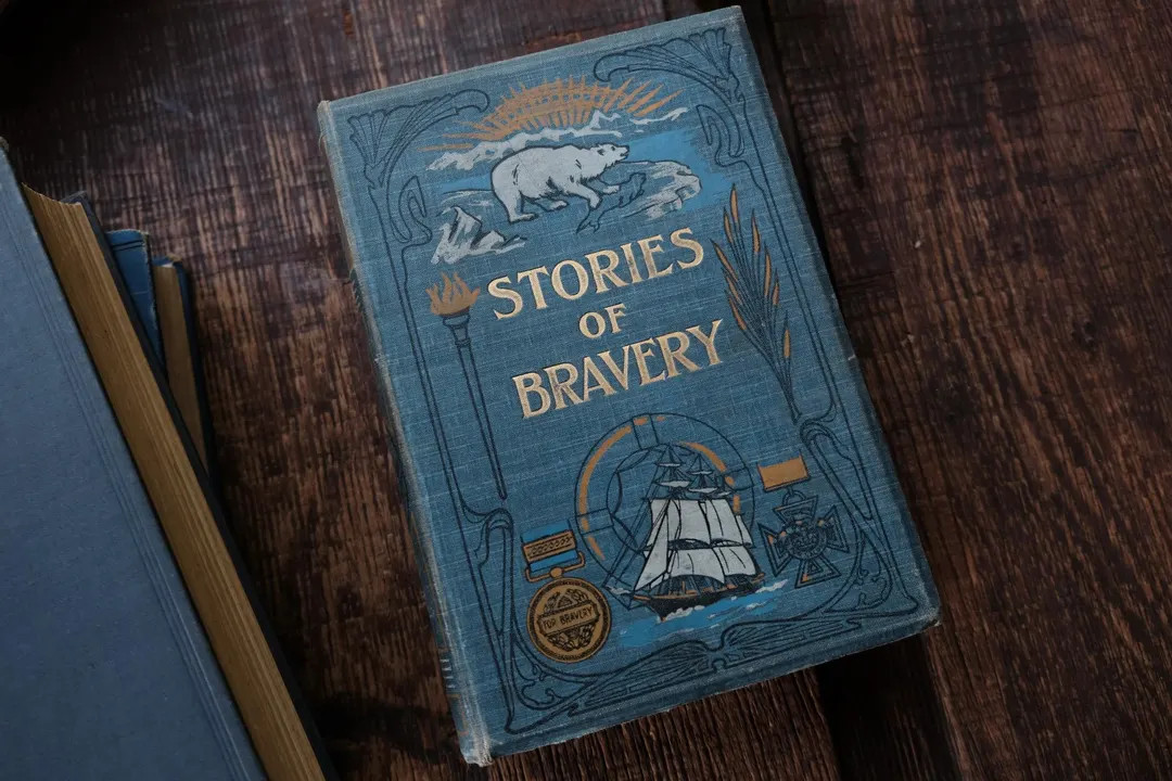 Stories of Bravery - A Record of Gallant Deeds - Etsy | Etsy (US)