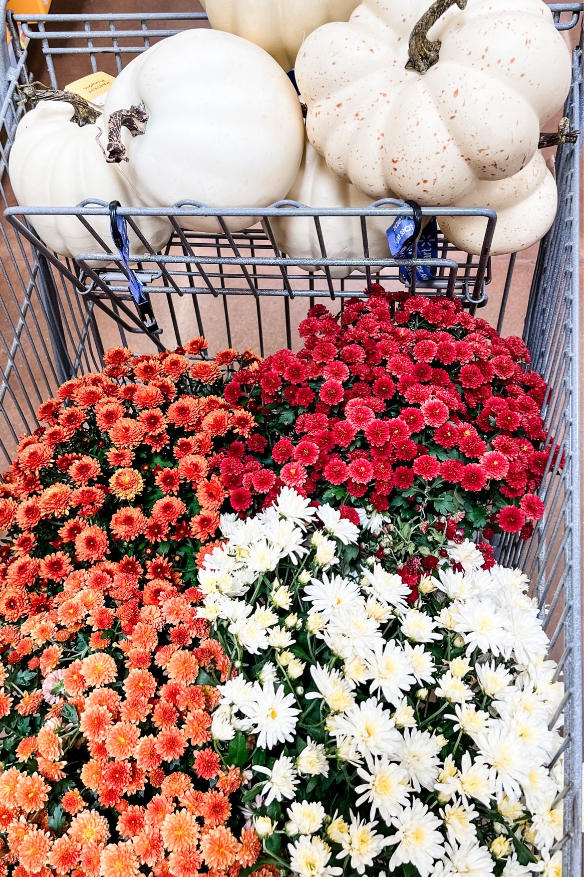 Fall Walmart finds #fall #fallpumpkins #fallfinds #falldecor

#LTKU #LTKhome #LTKSeasonal
