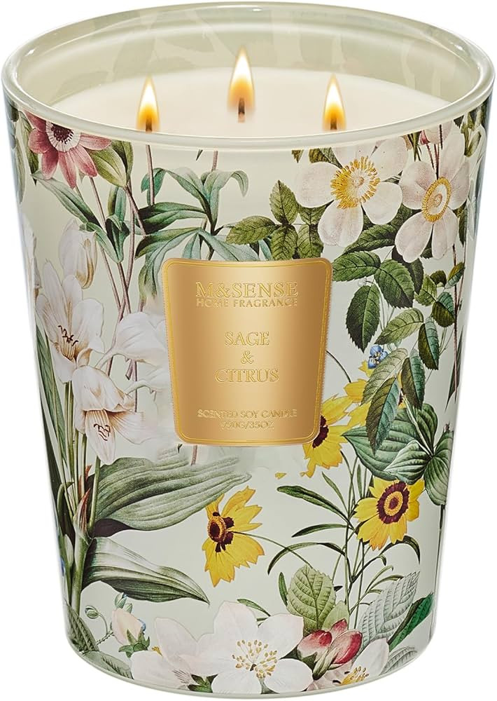 M&SENSE Sage Citrus Scented Candle Home Decor, Extra Large 3 Wick Natural Soy Wax Candles for Hom... | Amazon (US)