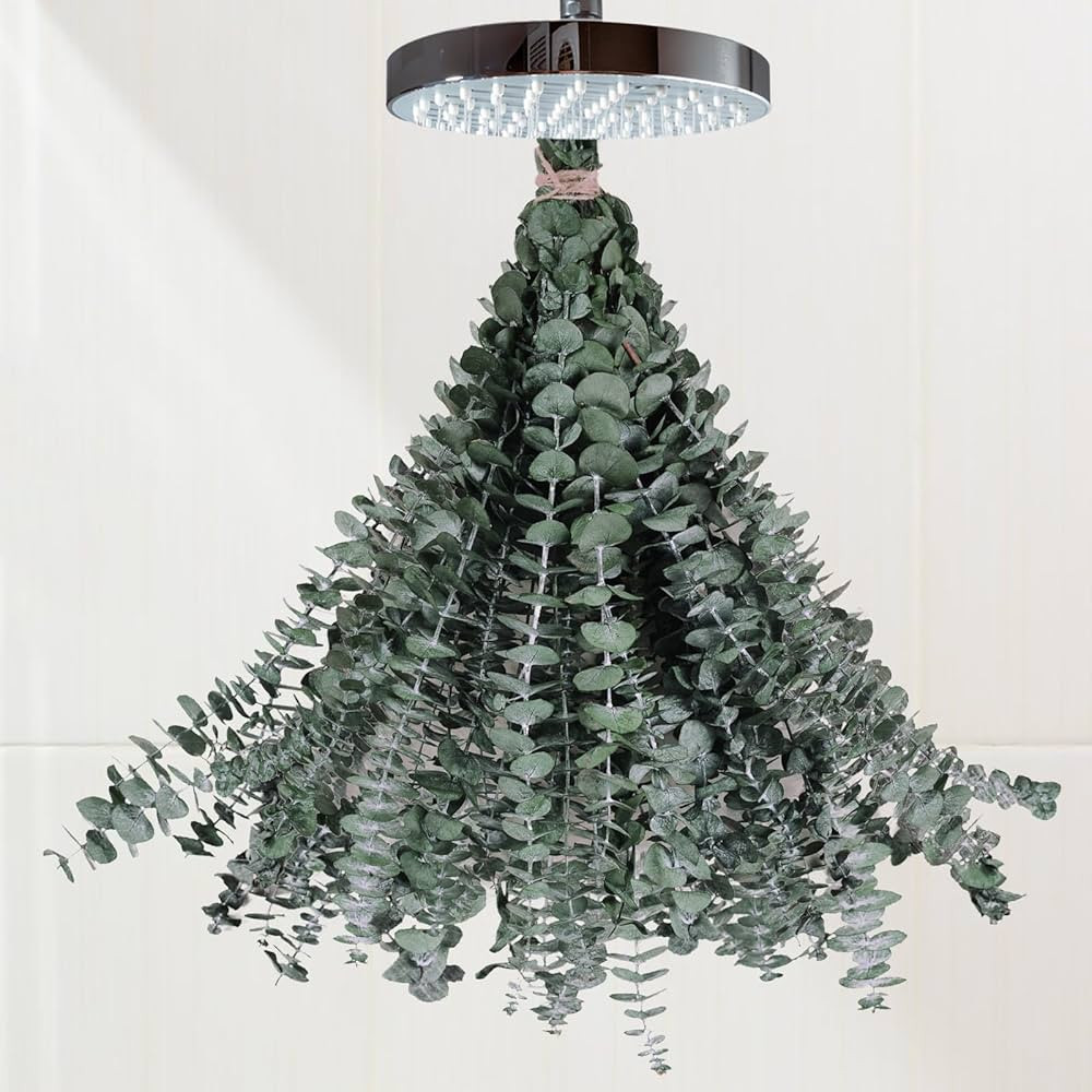 Glicrili | Amazon (US)