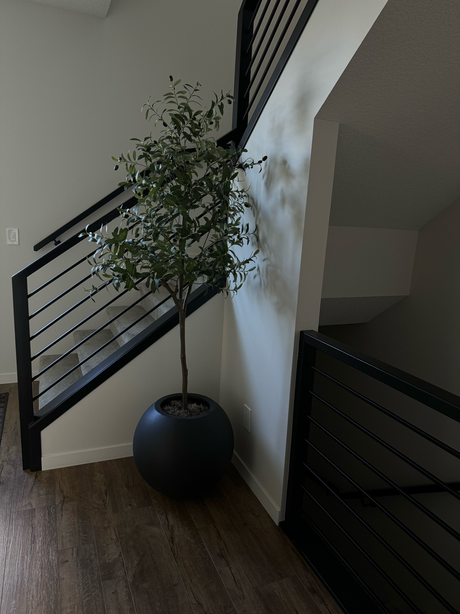 I always always get asked where this olive tree & planter are from! 

#LTKhome