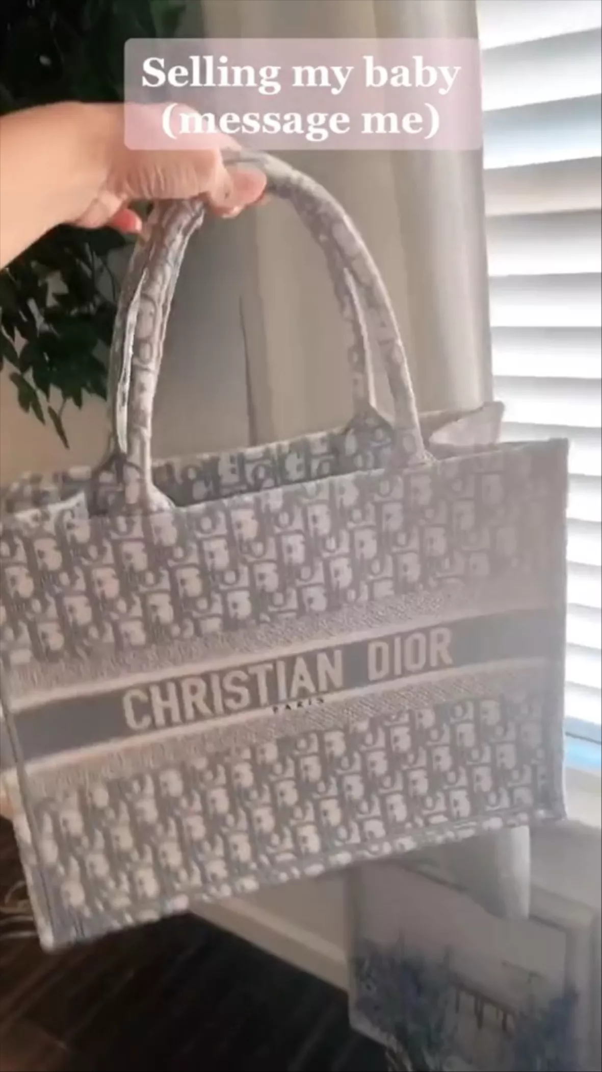 W2C Woman's Christian Dior bag : r/DHgate