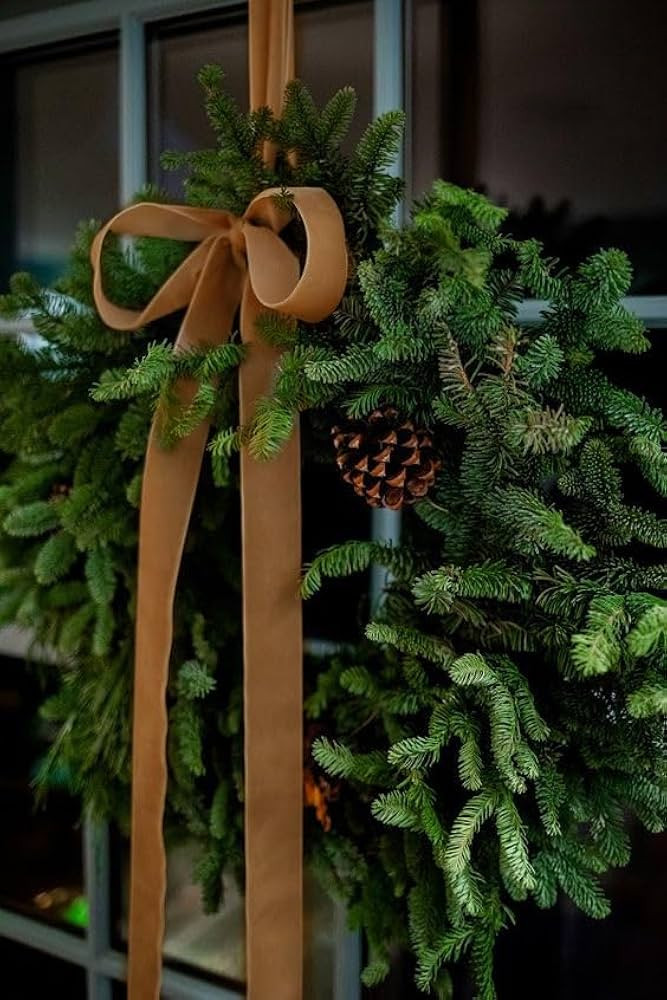 Copper Velvet Ribbon 1'' 25 Yards for Christmas Tree, Gift Wrapping, Flower Bouquet, Wreath Decor... | Amazon (US)