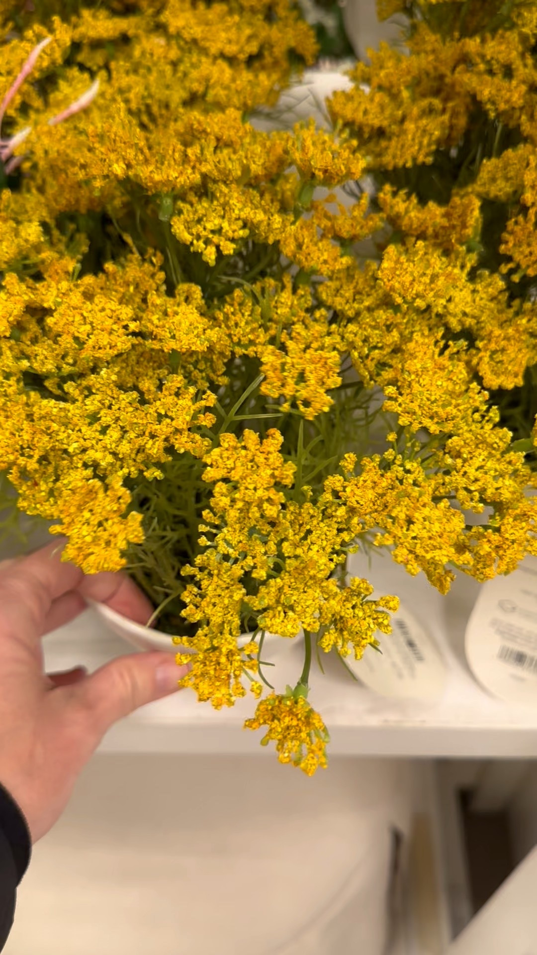 These gold Queen Anne’s lace flower arrangements are actually really pretty.

#LTKFindsUnder50 #LTKHome #LTKSeasonal