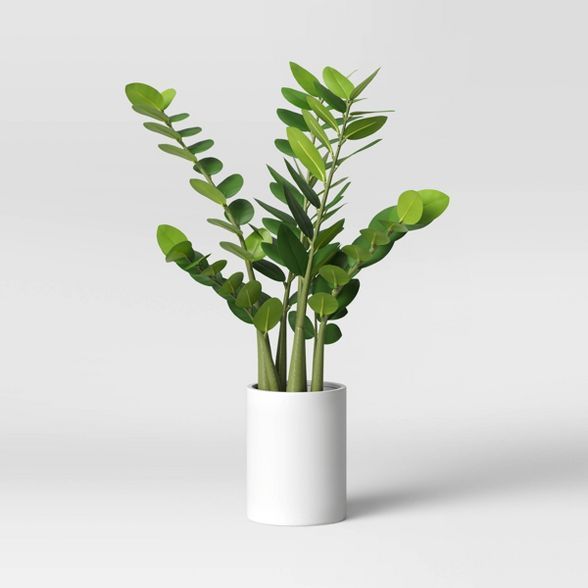 23" x 18" Artificial Palm Plant in Pot - Project 62™ | Target