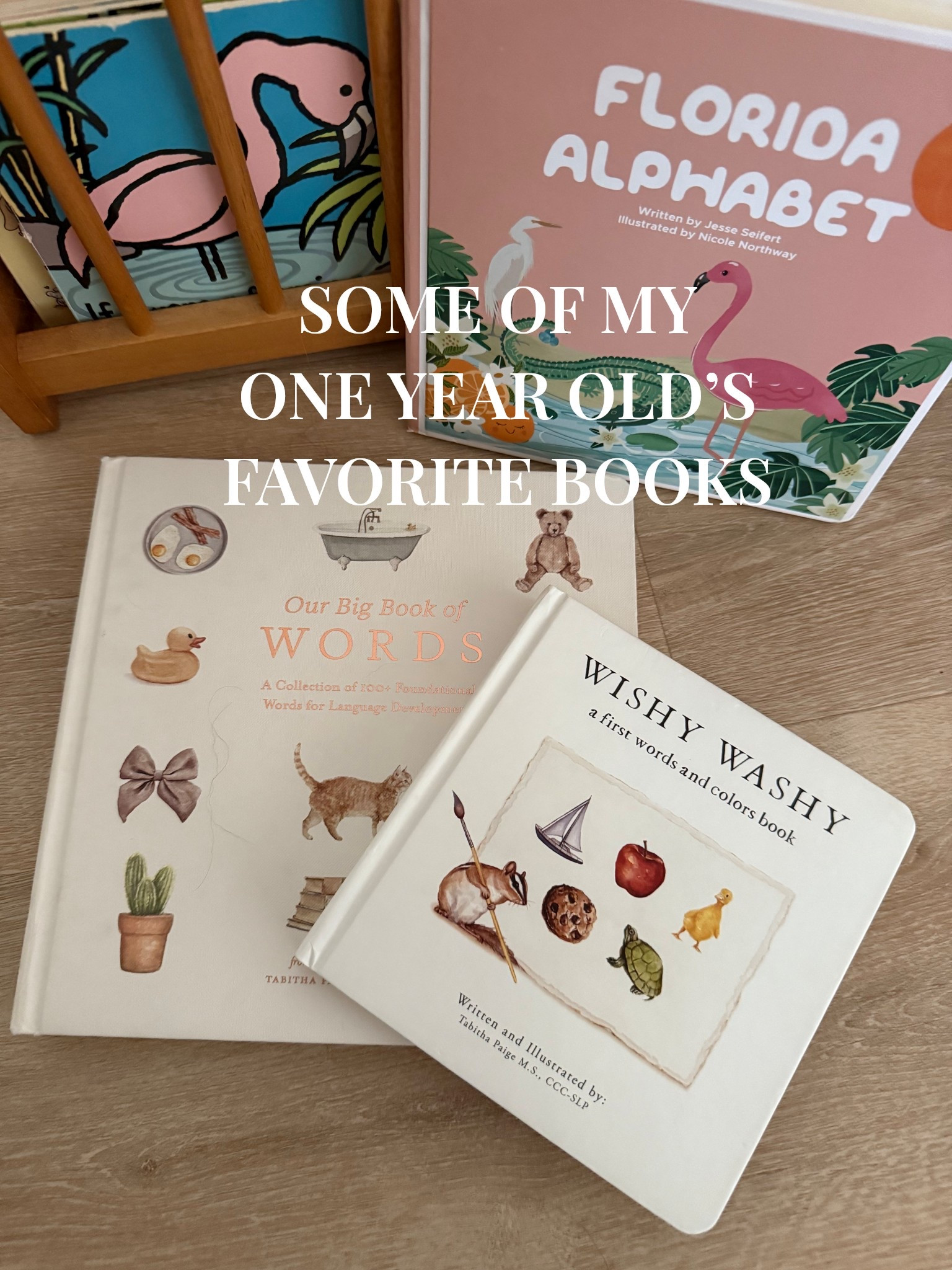 some current book favorites for my one year old!

#LTKKids #LTKFamily #LTKBaby