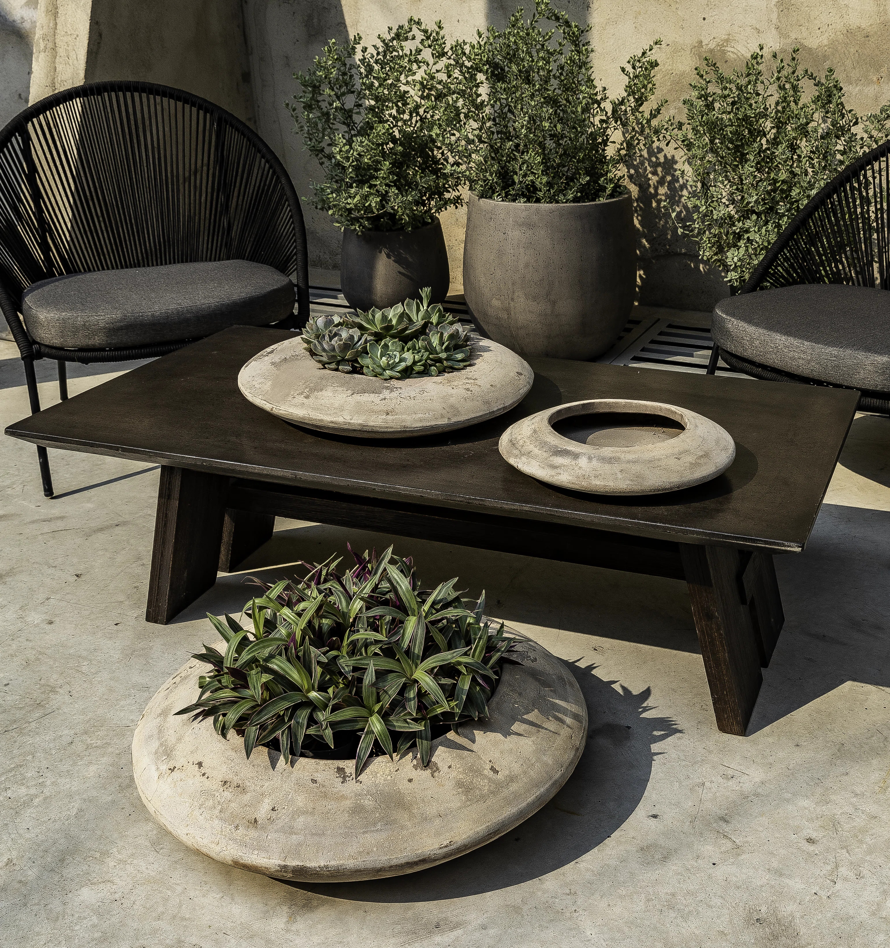 Campania International Luna Glazed Terra Cotta Pot Planter | Wayfair | Wayfair North America