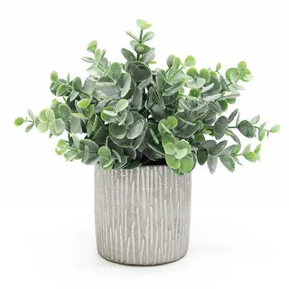 Eucalyptus Plant Arrangement in Cylinder Clay Pot 9in - 9" H x 10" W x 10" DP - 9" H x 10" W x 10... | Bed Bath & Beyond