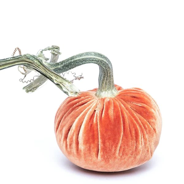 Salmon Silk Velvet Pumpkin | Hot Skwash