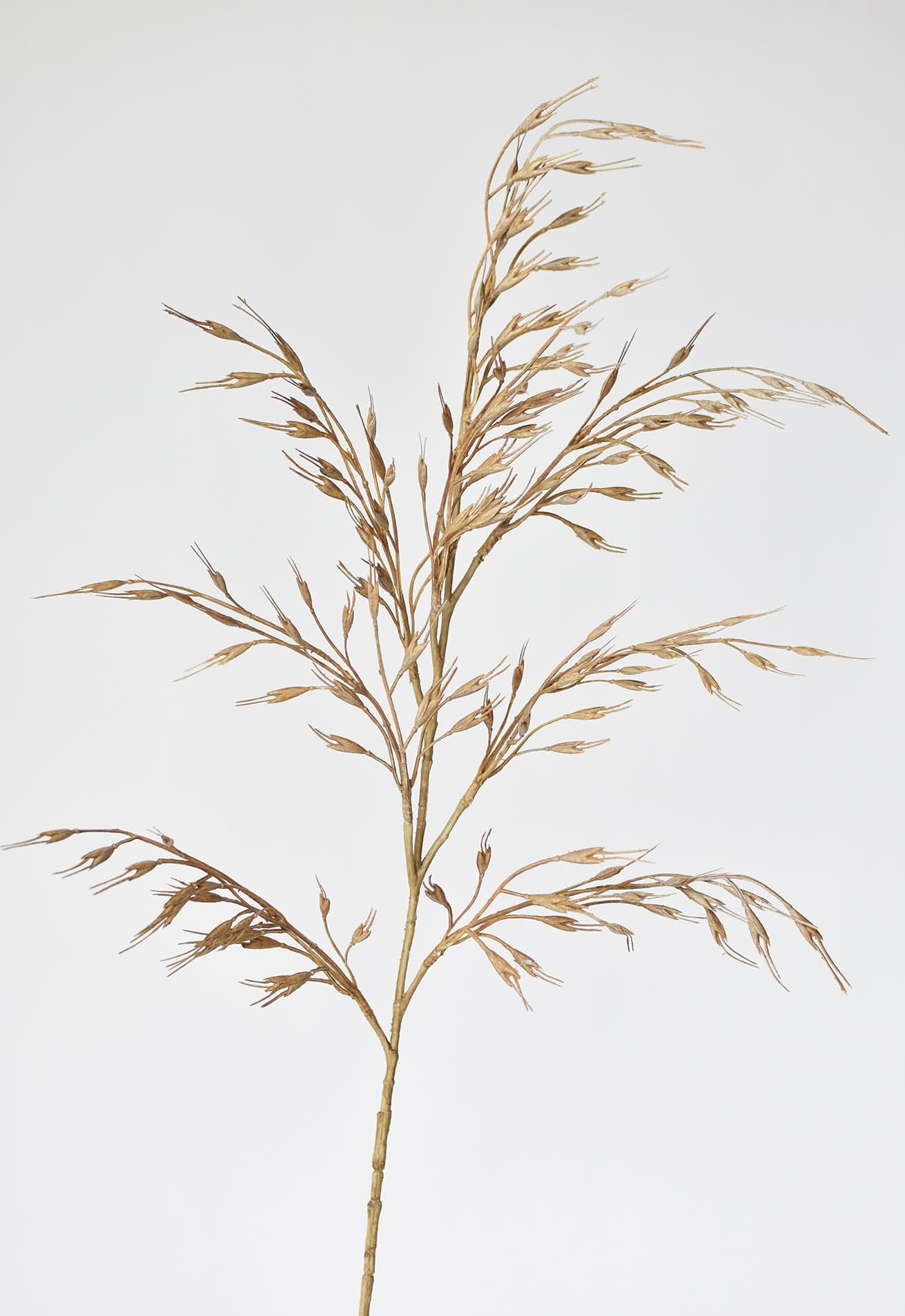 34" Faux Beige Wild Wheat Stem | HouseFloral