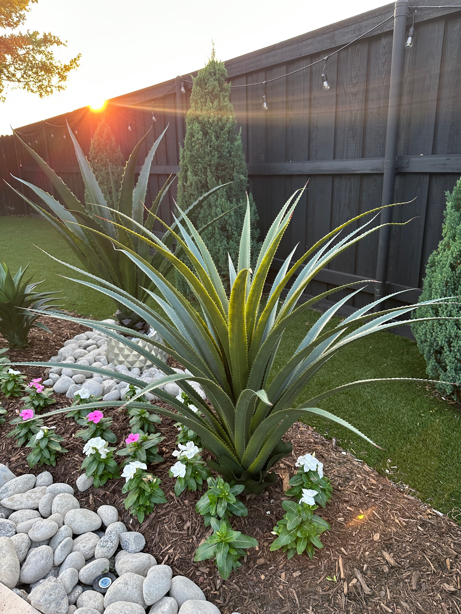 Beautiful faux plant for our backyard 

#LTKSeasonal #LTKFind #LTKhome