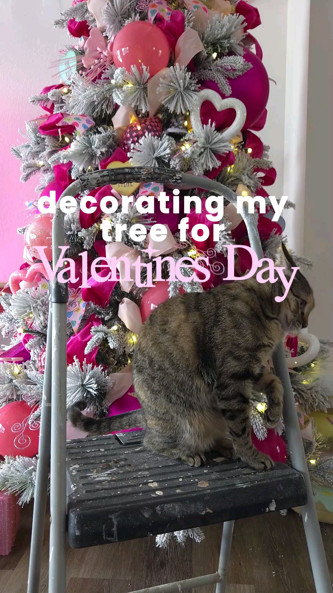 Putting together my Valentine's Day Tree for this year! 🩷🎀

#LTKSeasonal #LTKHome #LTKWatchNow