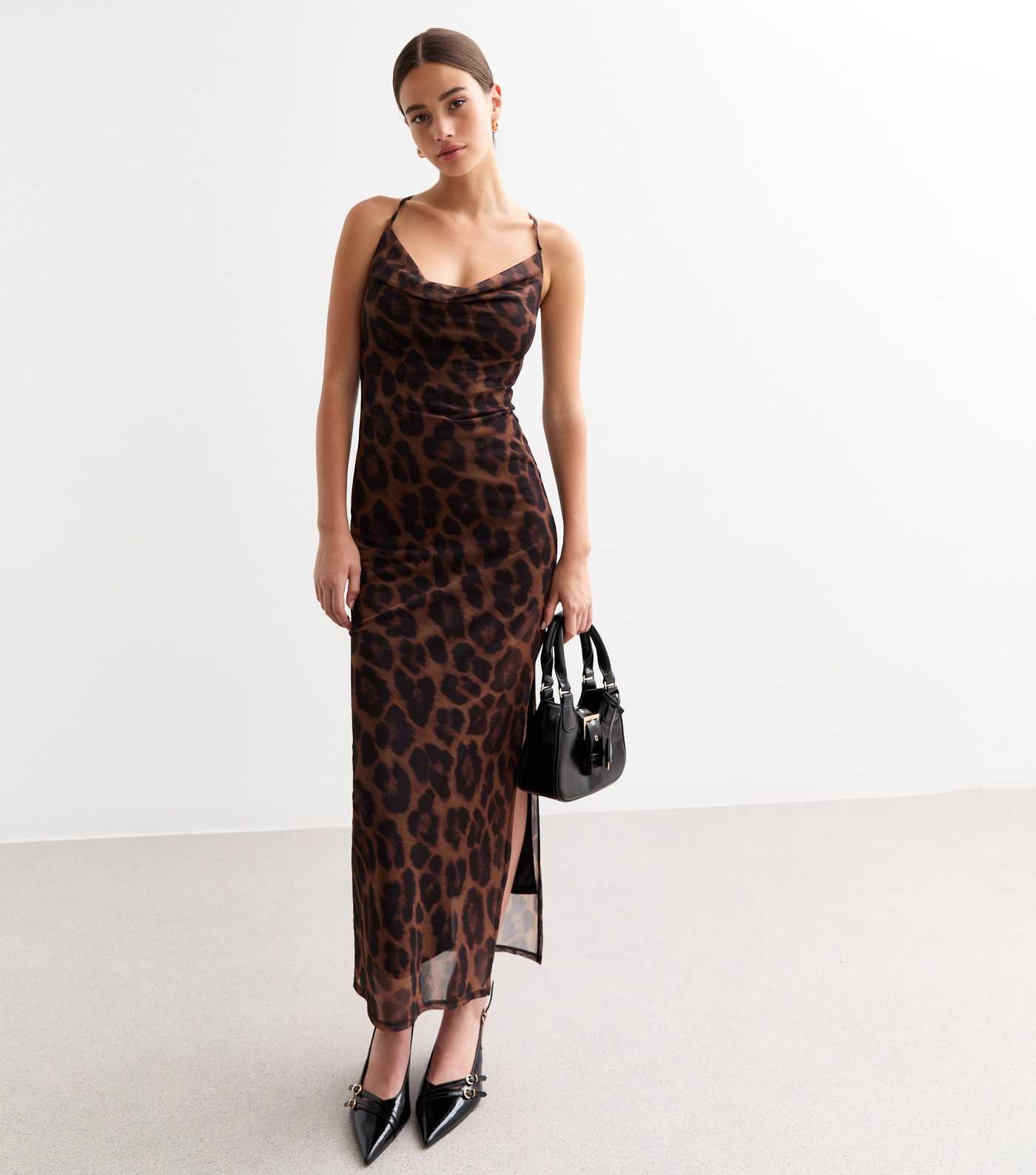 Brown Leopard Print Mesh Midaxi Dress | New Look | New Look (UK)