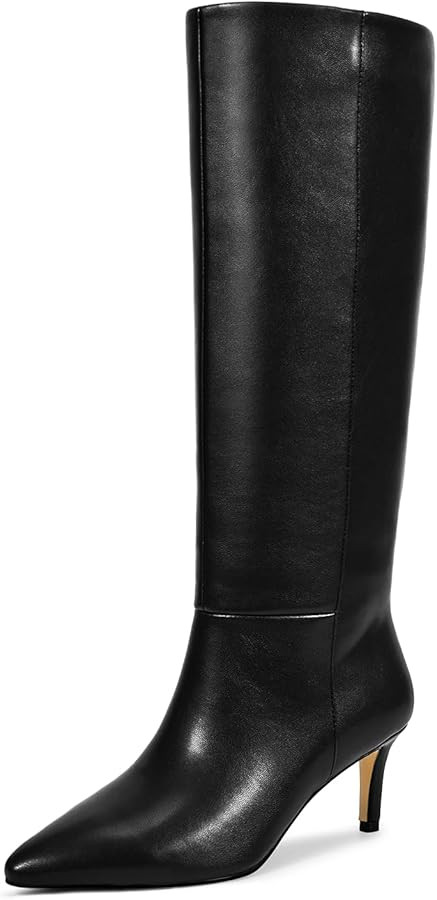 wetkiss Knee High Boots for Women, with Kitten Heel and Pointed Toe Design, Classic and Sexy | Amazon (US)
