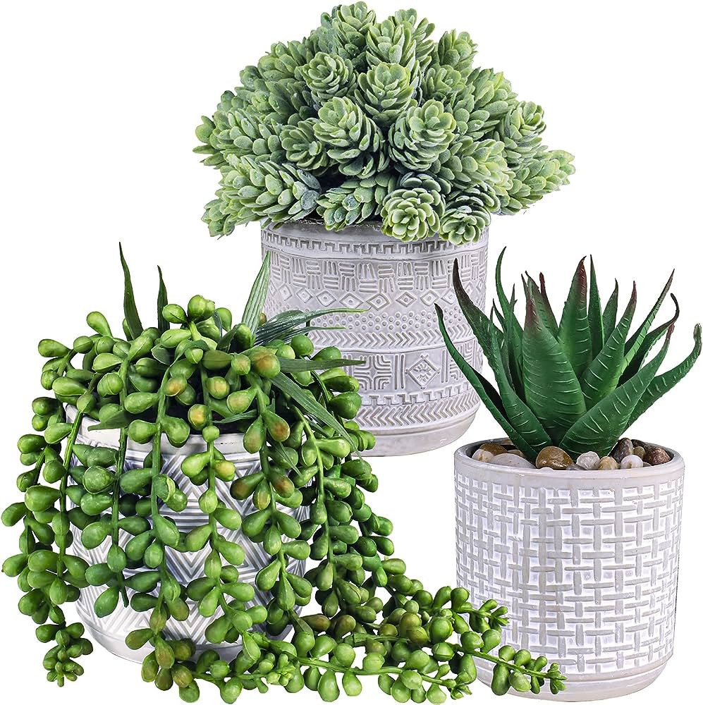 Set of 3 Assorted Small Potted Succulent Plants Fake Aloe String of Pearls Hops Succulents in Gra... | Amazon (US)