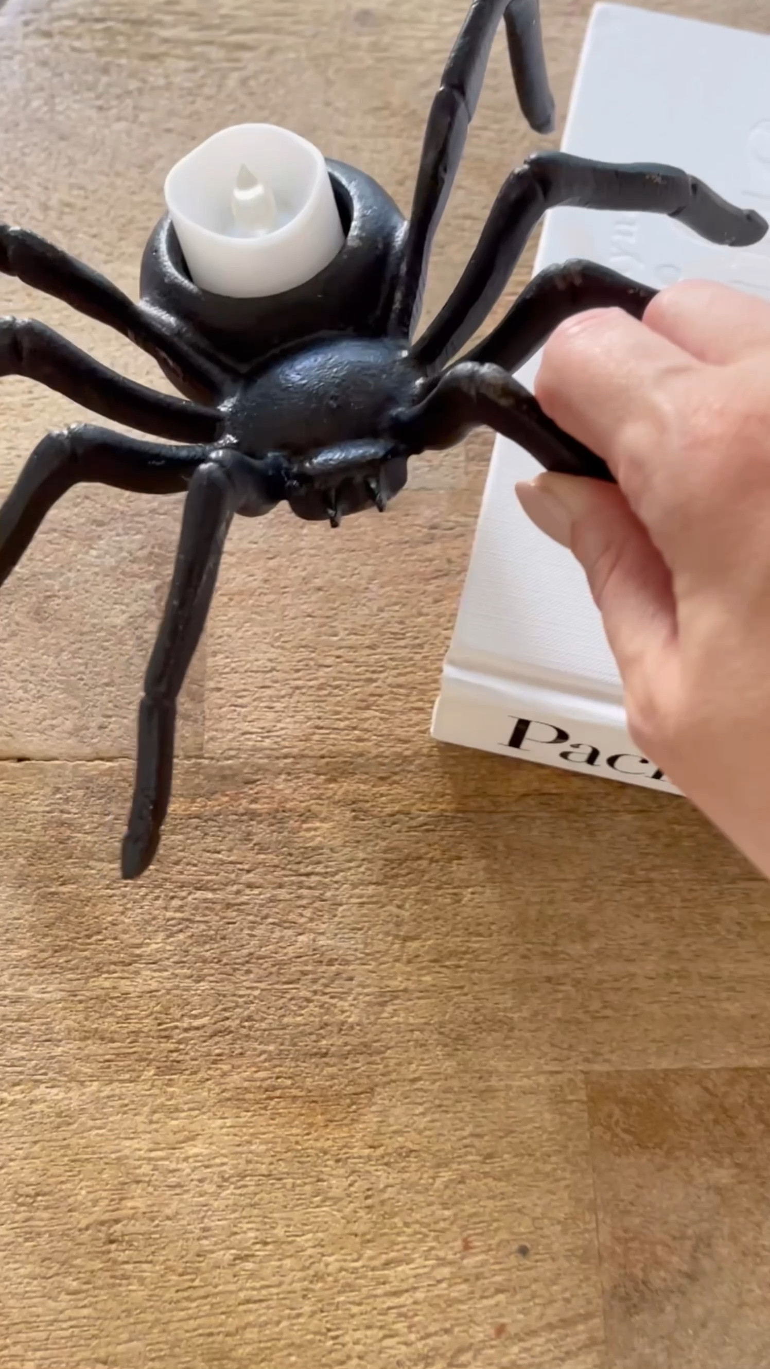 Spooky cute Halloween decor coming in 

#LTKhome #LTKSeasonal #LTKHalloween