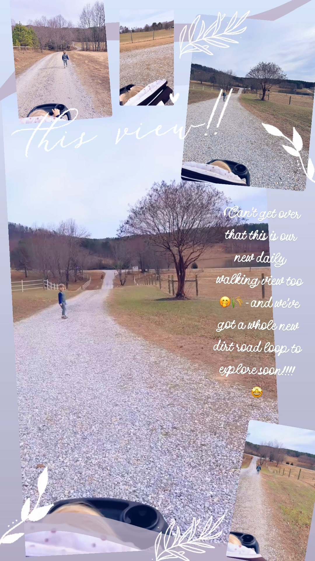 And will never get over that this is our new daily walking view too 🤭🌾 - and we’ve got a whole new dirt road loop around the farm to explore soon!!!! 🤩
