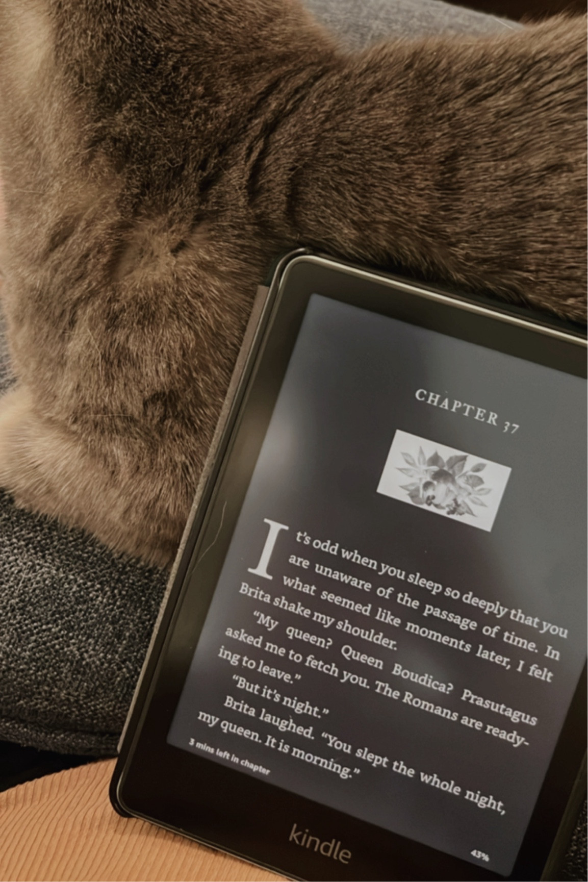 Cozy reading time with my Kindle and Olivia 💚🐾📚 this ereader is the absolute best! Long battery life, lightweight, great for home or travel, and a good price! 

#LTKHome #LTKTravel #LTKGiftGuide