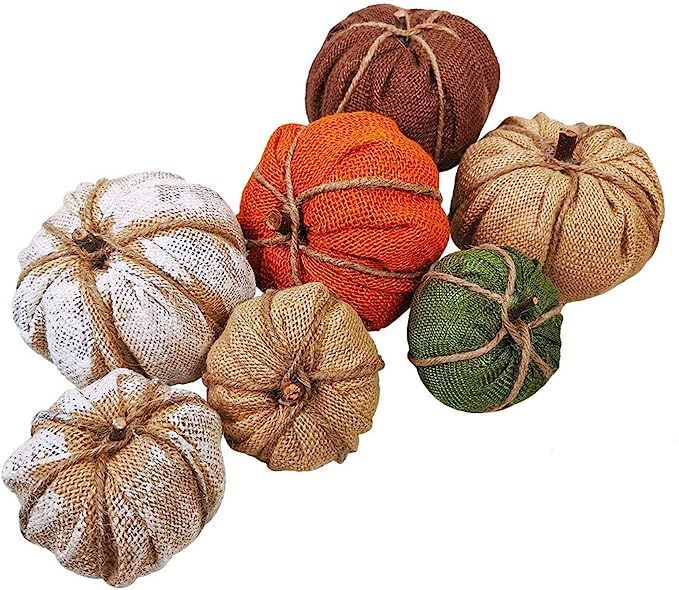 Winlyn 7Pcs Assorted Burlap Pumpkins for Fall Harvest Festival Thanksgiving Autumn Ornaments | Amazon (US)