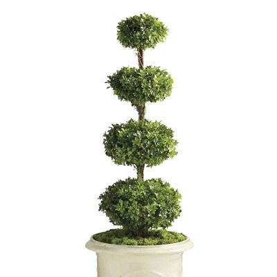 Outdoor Four Tier Boxwood Disc Topiary | Frontgate
