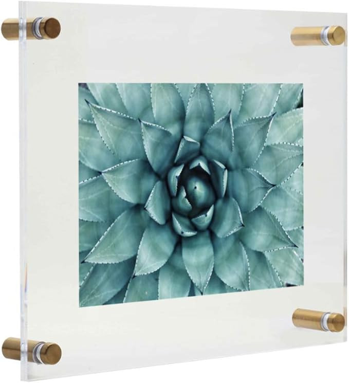 Palm to Palm Modern Floating Frame (1, 11" x 13"), Clear Acrylic Floating Brass Frameless Picture... | Amazon (US)