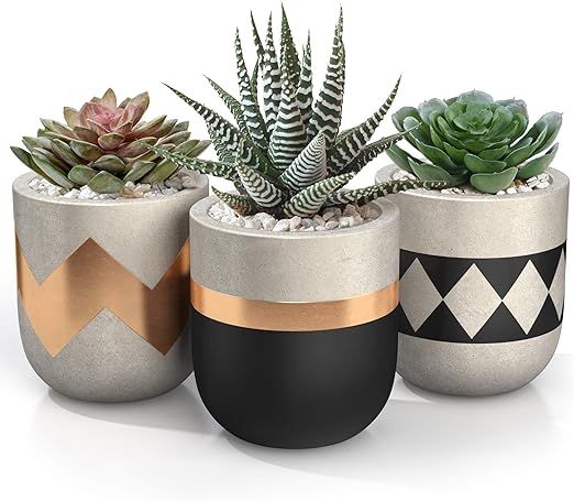 3 inch Small Succulent Pots with Drainage - Set of 3 Concrete Planter Pots for Succulent Plants -... | Amazon (US)