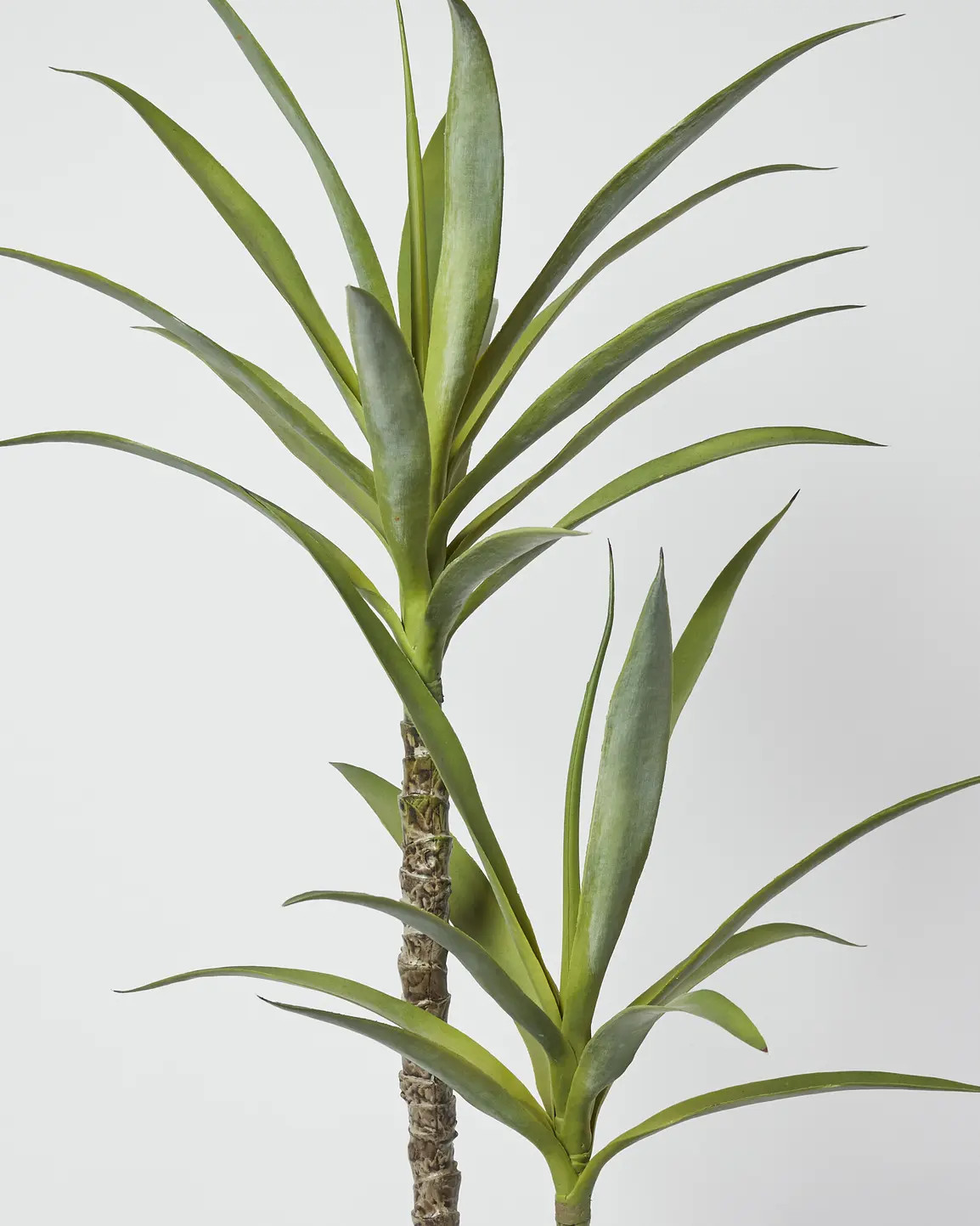 Yucca Tree Artificial Plant | Oliver Bonas | Oliver Bonas (Global)