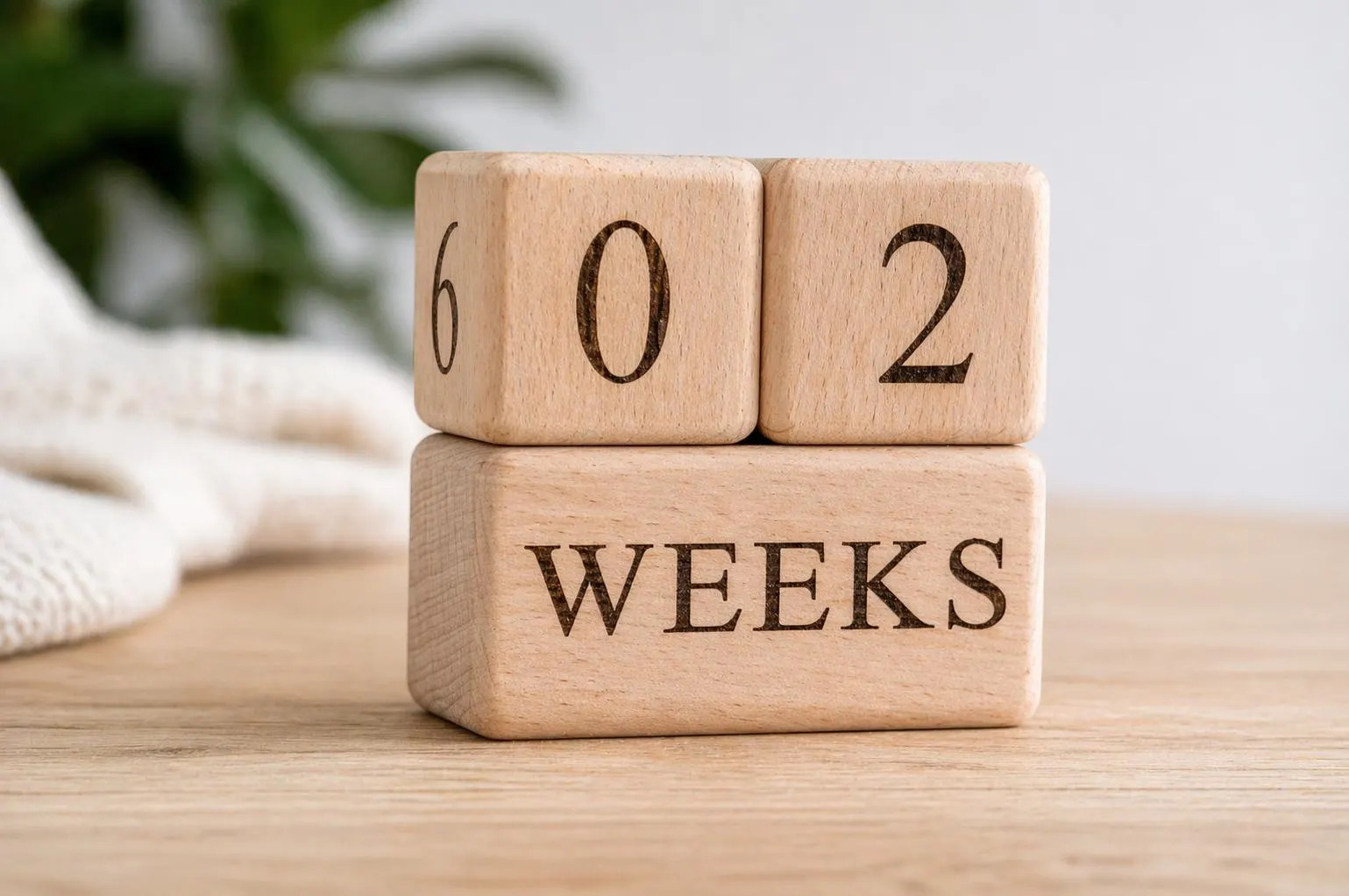 Personalized Baby Milestone Blocks – Wooden Weeks Months Years | Etsy (Global)