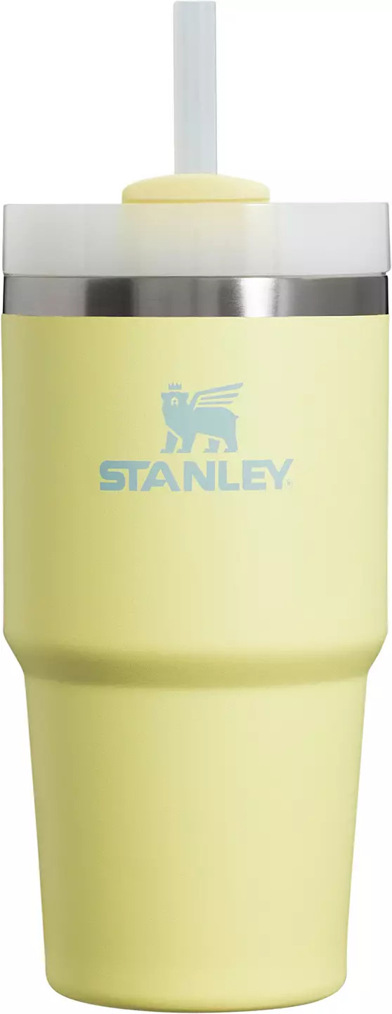 Stanley 20 oz. Quencher H2.0 FlowState Tumbler | DICK'S Sporting Goods