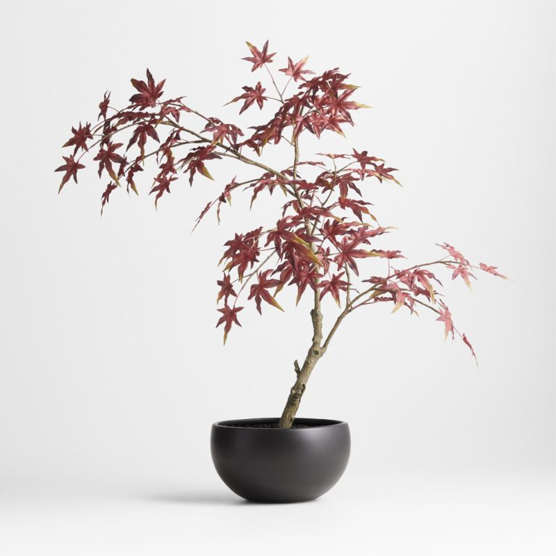 Potted Faux Japanese Maple in Black Pot | Crate & Barrel | Crate & Barrel