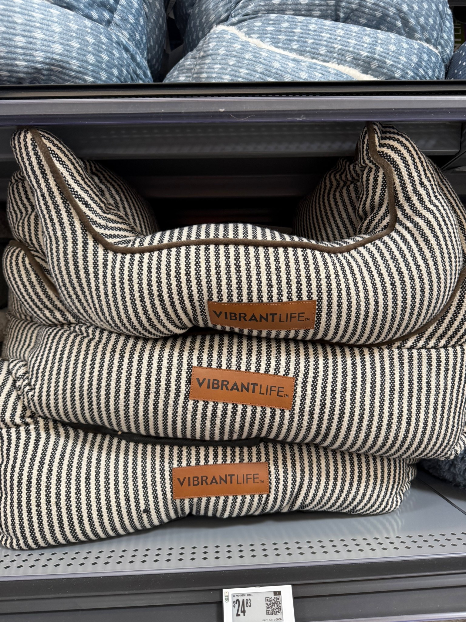 Cute dog beds that fit the budget! 