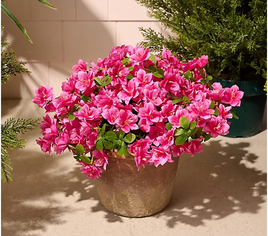 Make Your Selection: Wicker Park 20" Faux Azalea Urn Filler | QVC