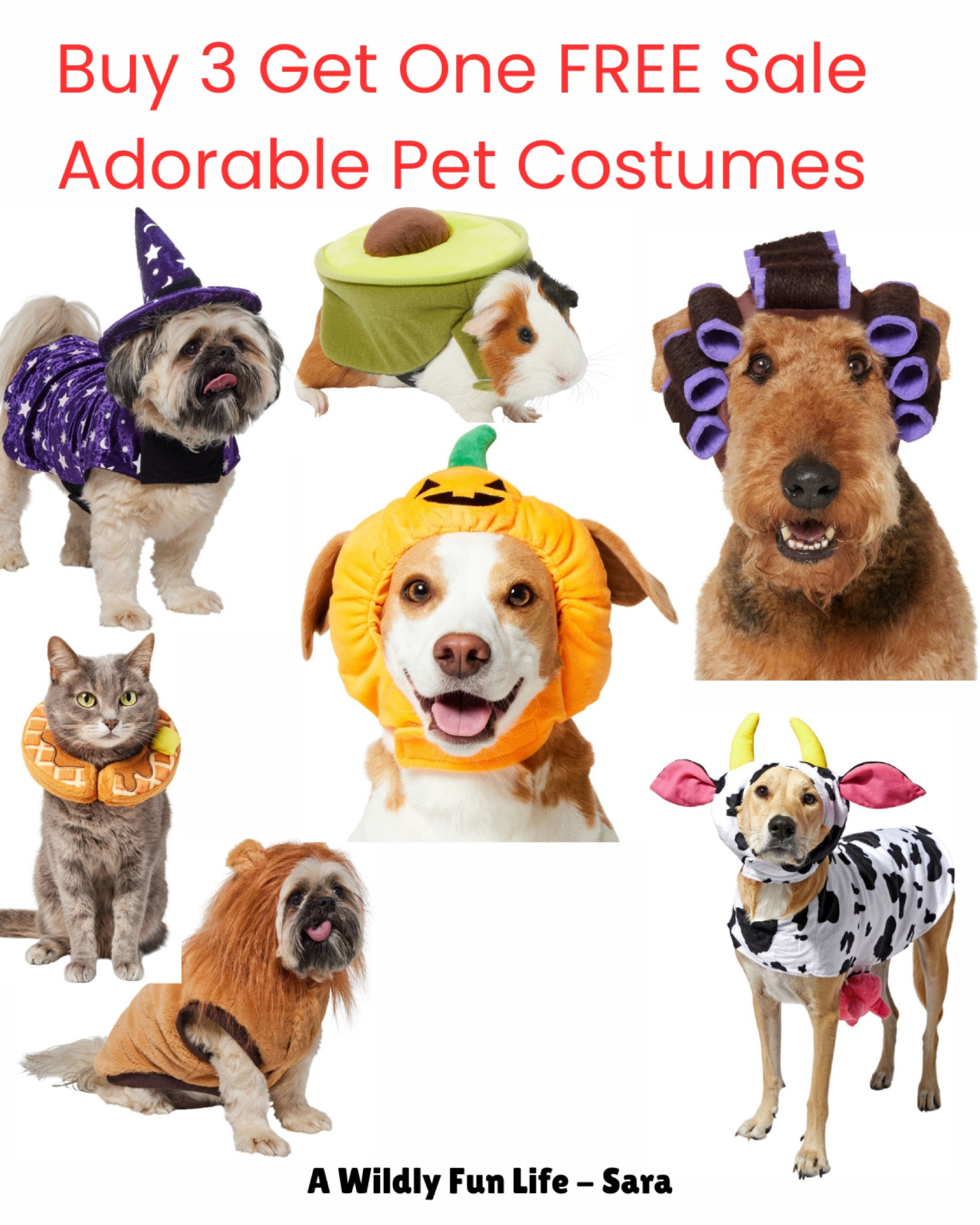 All costumes buy 3 get the 4th free! They have some super cute ones but selling fast!! 

#LTKSeasonal #LTKFindsUnder50 #LTKHalloween