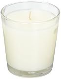 Northern Lights Candles Fragrance Palette White Candle 9oz Evergreen Forest | Amazon (US)