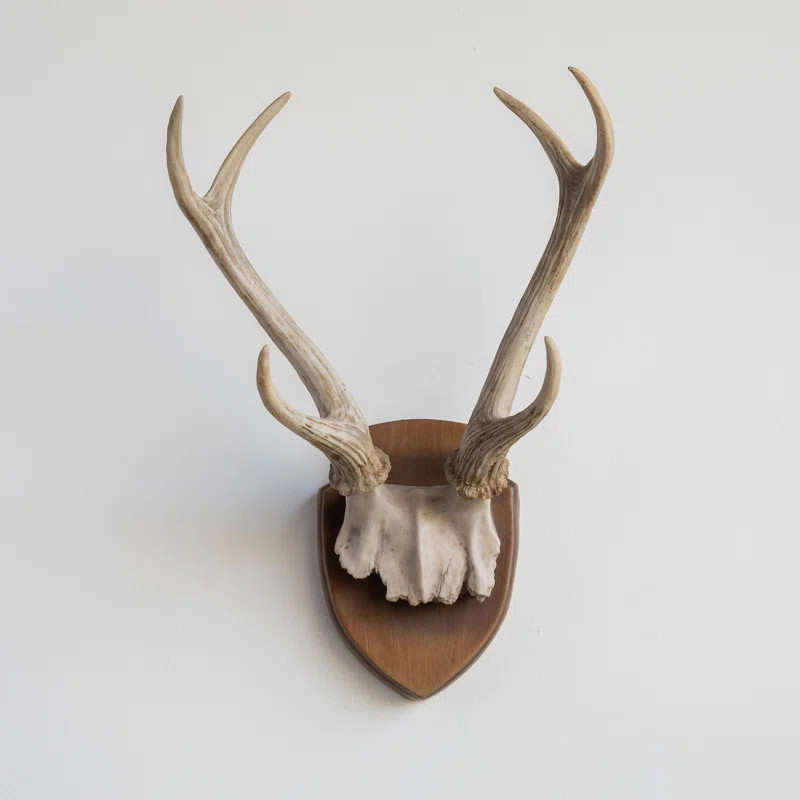 Millwood Pines Hunter's Trophy Antler Wall Décor | Wayfair | Wayfair North America