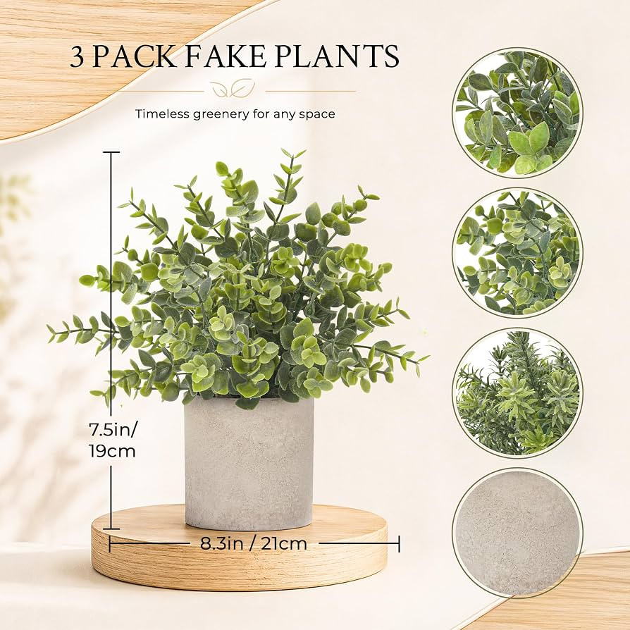 Der Rose 3 Pack Mini Potted Fake Plants Artificial Plastic Eucalyptus Plants Topiaries for Home O... | Amazon (US)