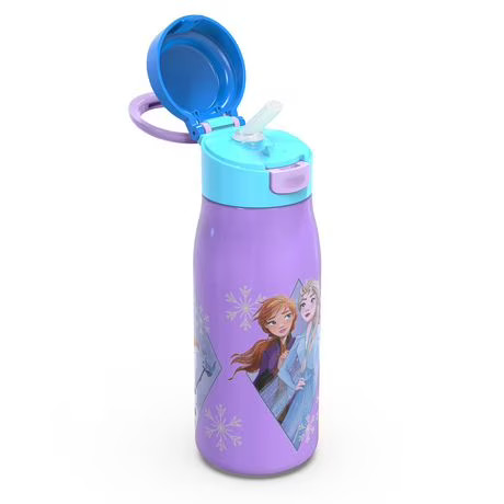 Zak Designs Frozen 13.5oz SS Pasco Bottle | Walmart (CA)