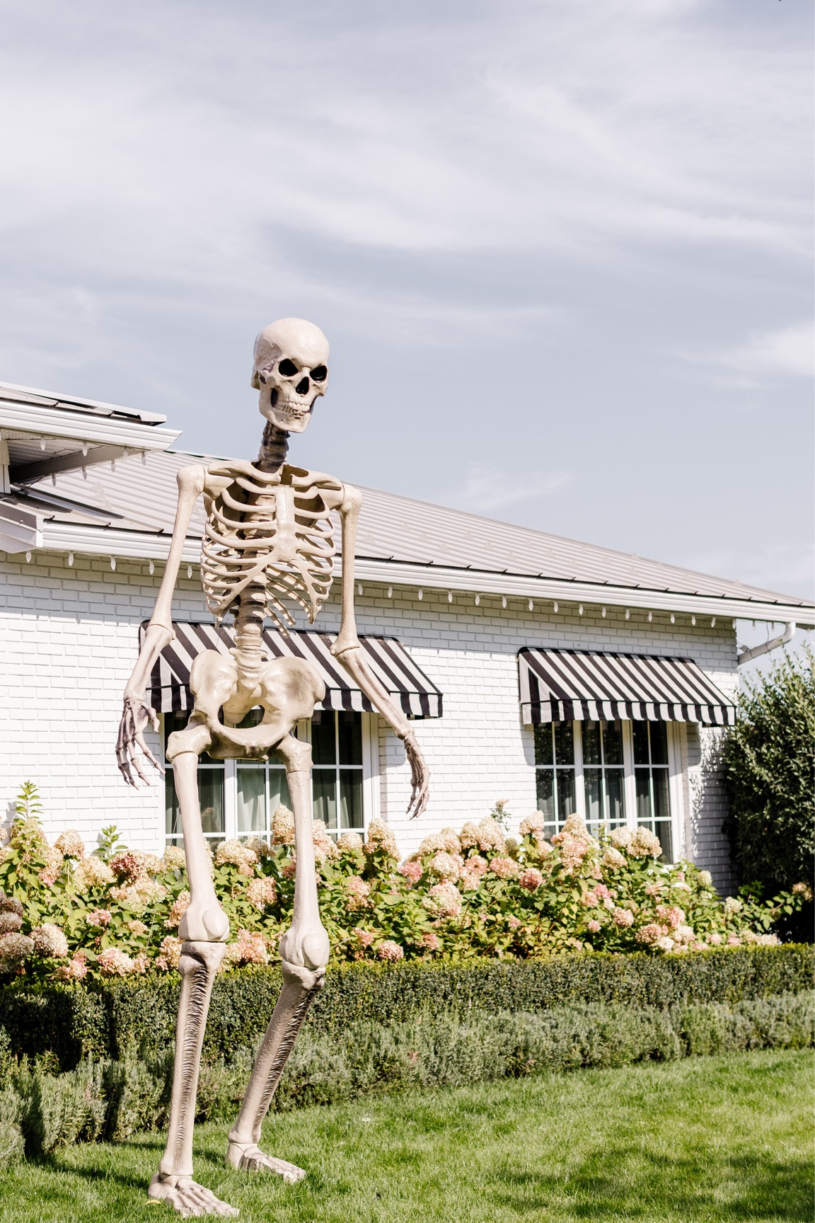 We really stepped up our Halloween decorations this year! Introducing… a 12ft tall Mr.bones!! 💀 

#LTKHoliday #LTKHalloween #LTKSeasonal