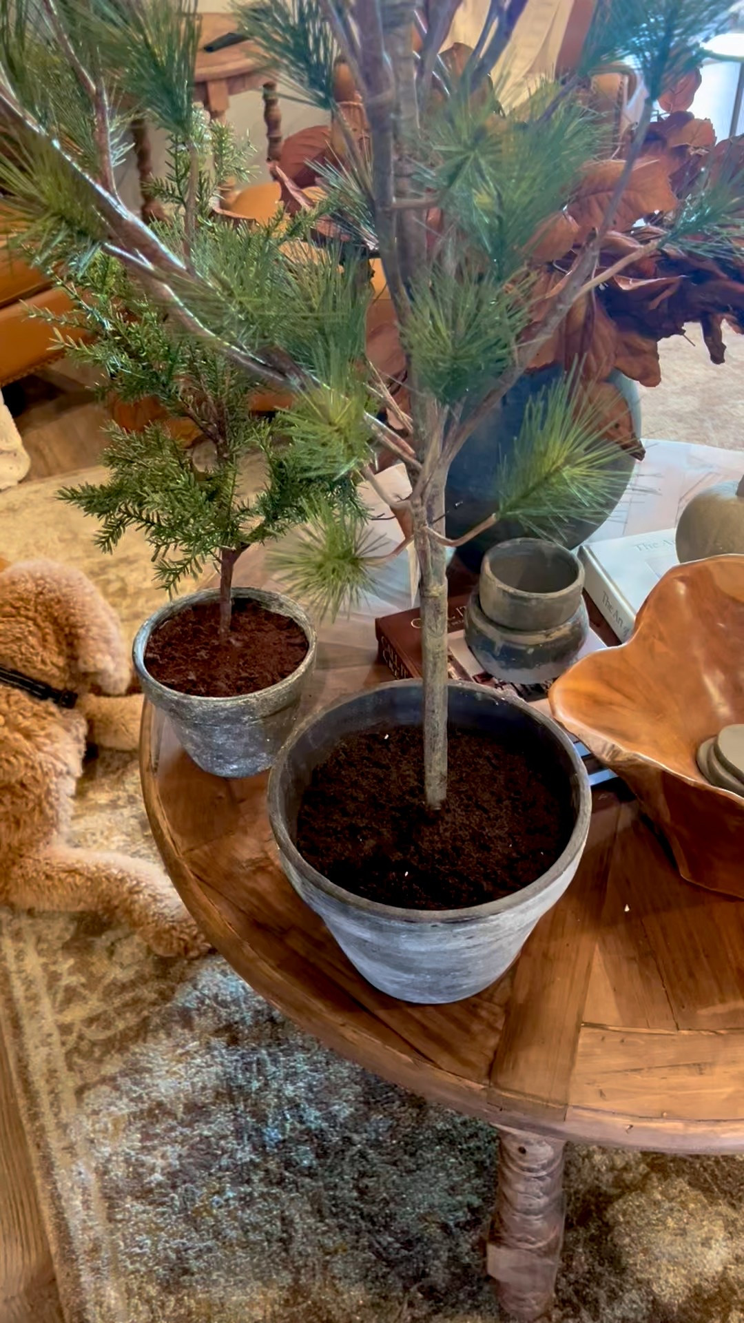 Charlie Brown Christmas trees 
#ltku 

#LTKHoliday #LTKSeasonal #LTKHome