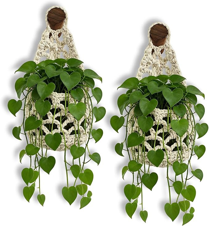 Macrame Plant Hanger Set of 2, Boho Wall Hanging Planter for Up to 6 Inch Pots - Handwoven Cotton... | Amazon (US)