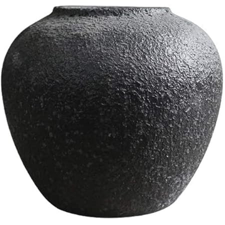 Hand Frosted Black Ceramic Vase Living Room Balcony Outdoor Retro Pottery Jar Fresh Flowers Dried... | Amazon (US)