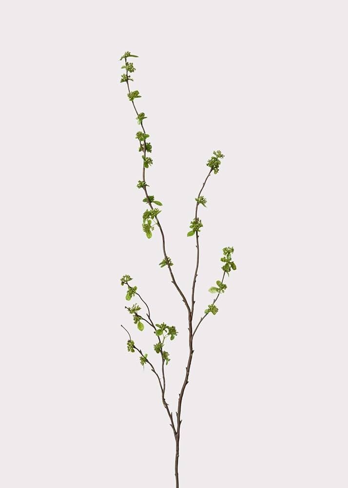 Afloral Artificial Branch with Green Buds - 40" | Amazon (US)