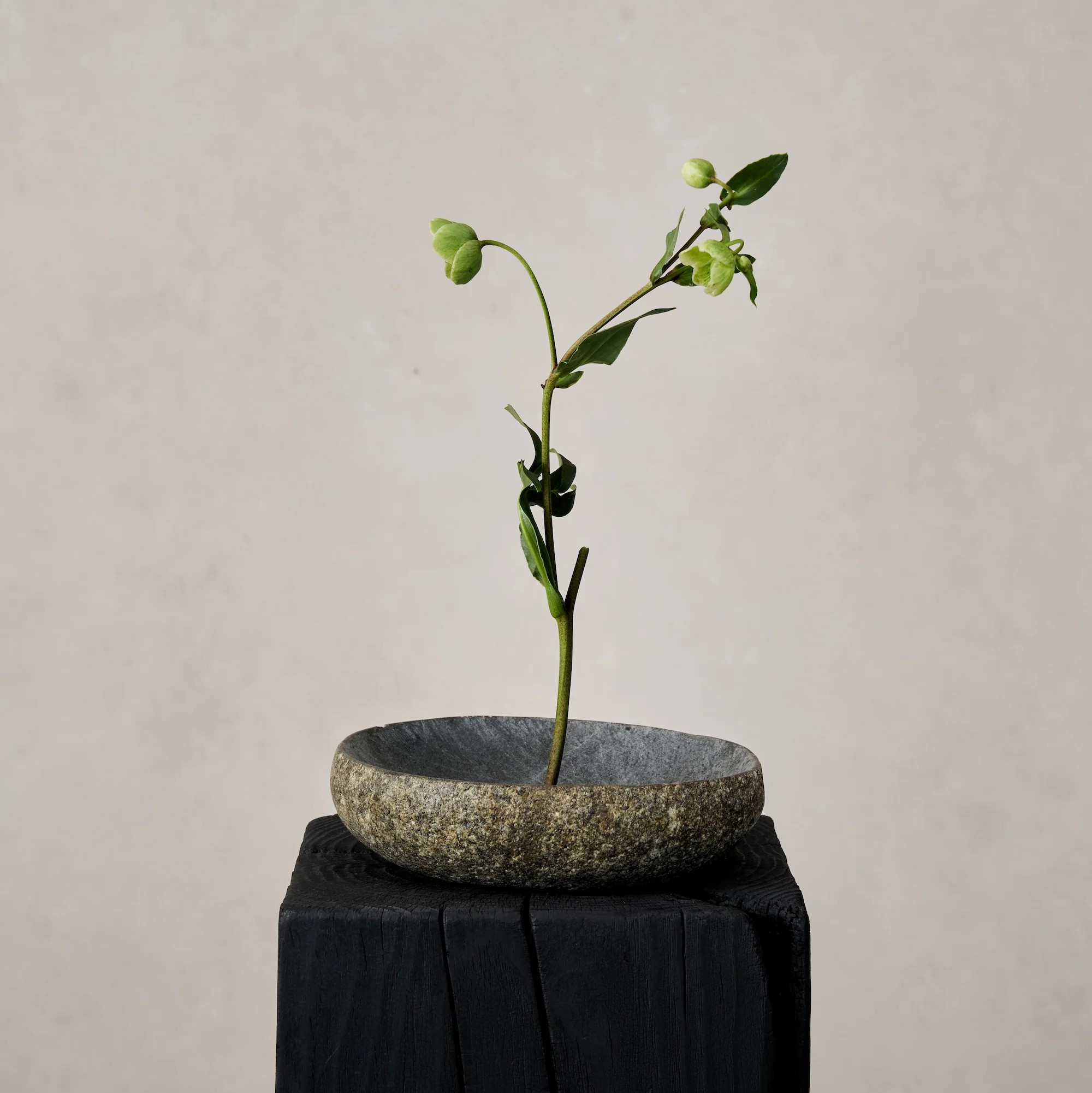 River Stone Bowl | House of Leon