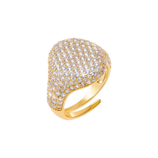 Pave Statement Pinky Signet Adjustable Ring | Adina Eden