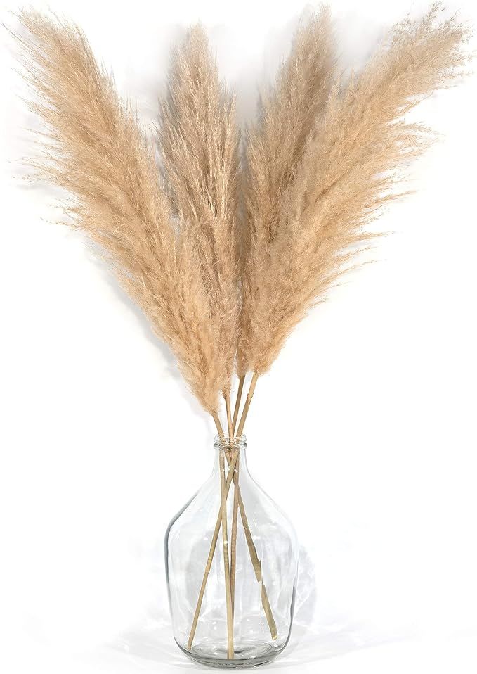 4 Stems Pampas Grass Tall Extra Fluffy 48" (4ft) - Home Decor Dried Natural Large Plant for Flowe... | Amazon (US)